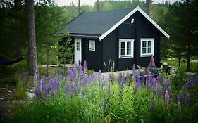 Fröya Timber Cottage